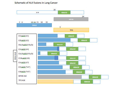 ALK gene mutation data collection