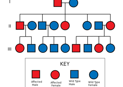 National Inherited Cancers Registry