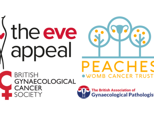 Endometrial Cancer Audit Pilot (ECAP)